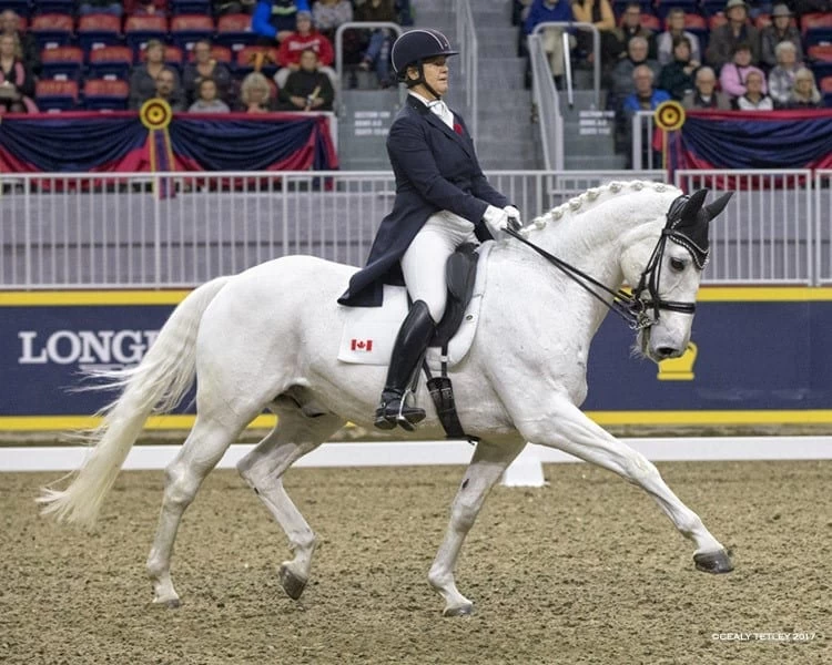 Tapestry Premium Dressage Girth - Image 2