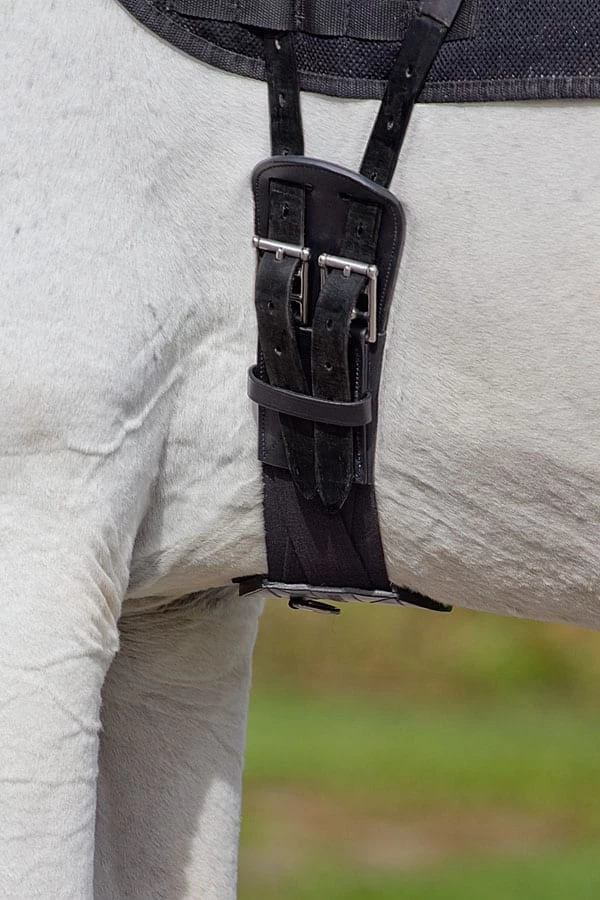Tapestry Premium Dressage Girth - Image 3