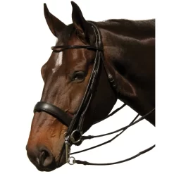 Vespucci Rolled Double Bridle