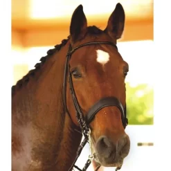 Vespucci Rolled Weymouth Bridle