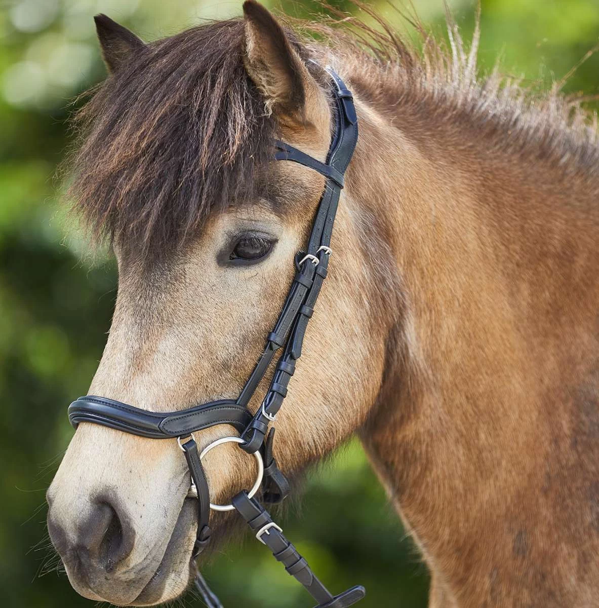 Waldhausen Anatomical Icelandic Bridle