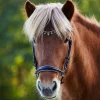 Waldhausen Ice Crystal Icelandic Bridle