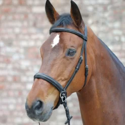 Waldhausen Star Bitless Bridle